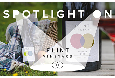 Relentless Pursuit of Quality with Flint Vineyard