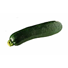 Fresh Courgettes