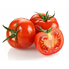 Fresh Round Tomatoes