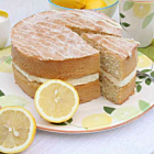 Sponge Frozen Gluten Free Lemon Drizzle Cake