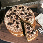 Sponge Frozen Coffee Cake