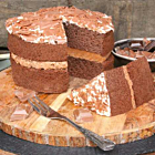 Sponge Frozen Chocolate Cake