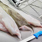 Blue Horizon Frozen Skin-on Cod Fillets 230-290g