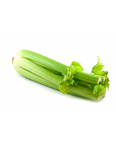 Fresh Celery