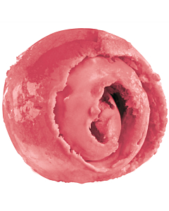 Yarde Farm Raspberry Ripple Sorbet