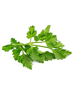 Fresh Chervil