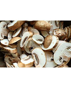 Fresh Button Mushrooms