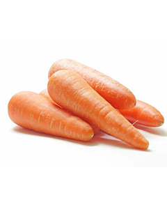 Fresh Carrots