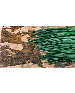 Fresh Chives