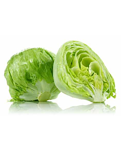 Fresh Iceberg Lettuce