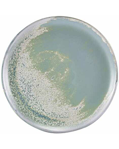 Terra Porcelain Seafoam Coupe Plate 27.5cm