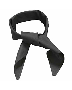 Black Neckerchief