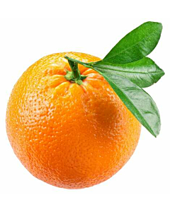 Fresh Oranges