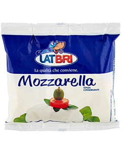 LatBri Mozzarella Cheese Balls