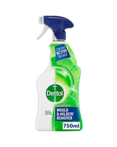 Dettol Mould & Mildew Remover Spray