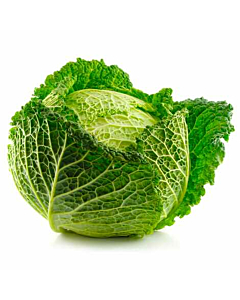 Fresh Cabbage Savoy