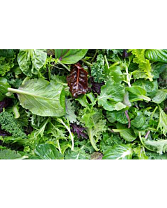 Fresh Mixed Leaf Salad