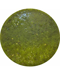 BD Foods Coriander and Mint Puree