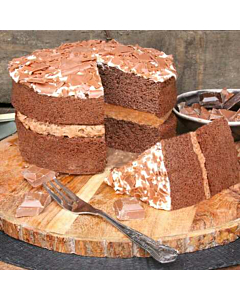 Sponge Frozen Gluten Free Chocolate Cake