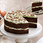 Handmade Cake Frozen Gluten Free Mint Chocolate Chip Cake