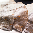 Smales Frozen Plaice Fillets 140-170g