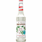 MONIN Premium Frosted Mint syrup 700 ml