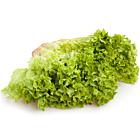 Fresh Lollo Blondi Lettuce