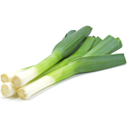 Fresh Leeks