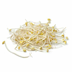 Fresh Beansprouts