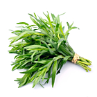 Fresh Tarragon