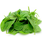 Fresh Baby Leaf Spinach