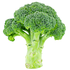 Fresh Broccoli