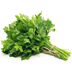 Fresh Parsley