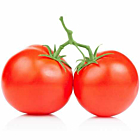 Fresh Large Vine Tomatoes