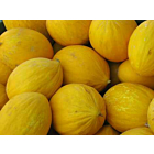 Fresh Gala Melon