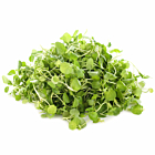 Fresh Pre-Packed Watercress