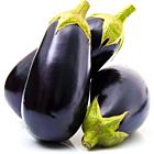 Fresh Aubergines