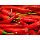 Fresh Red Chillies