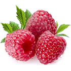 Fresh Raspberries