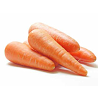 Fresh Carrots