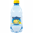 Radnor Splash Sparkling Lemon and Lime