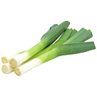 Fresh Leeks