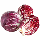 Fresh Radicchio