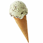 Kellys Mint Chocolate Chip Dairy Ice Cream