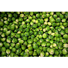 Fresh Brussels Sprouts