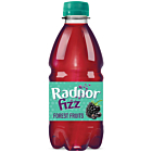 Radnor Fizz Forest Fruits