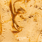 Northern Bloc Frz Plant Based Caramelised Biscuit Ice Cream