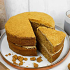 Sponge Frozen Biscoff Speculoos Cake