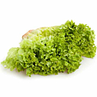 Fresh Lollo Blondi Lettuce