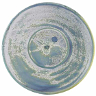 Terra Porcelain Seafoam Saucer 14.5cm